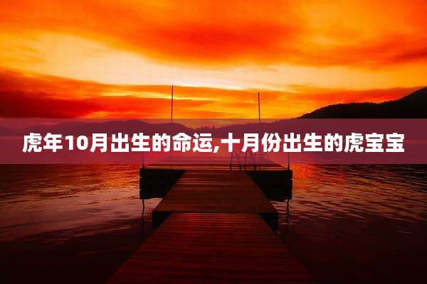 虎年10月出生的命运,十月份出生的虎宝宝