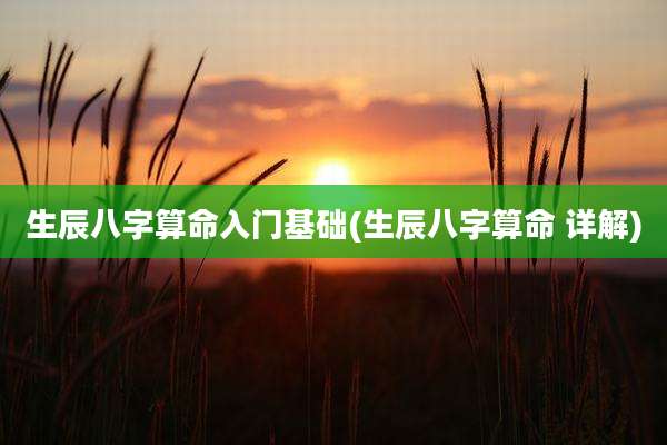 生辰八字算命入门基础(生辰八字算命 详解)