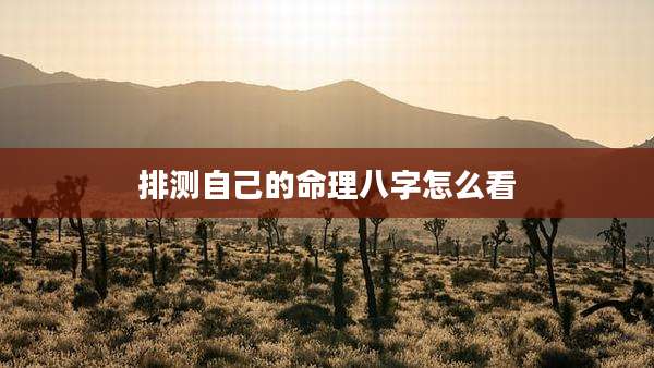 排测自己的命理八字怎么看