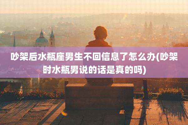 吵架后水瓶座男生不回信息了怎么办(吵架时水瓶男说的话是真的吗)