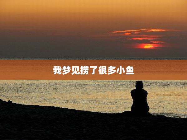 我梦见捞了很多小鱼