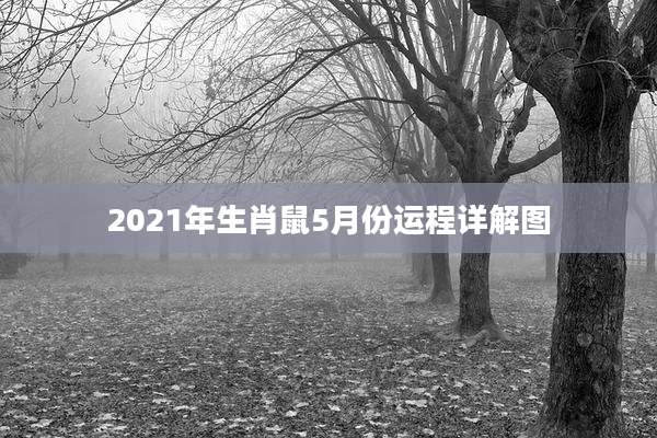 2021年生肖鼠5月份运程详解图