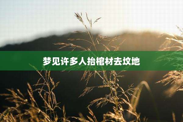 梦见许多人抬棺材去坟地