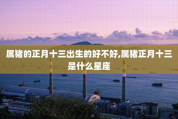 属猪的正月十三出生的好不好,属猪正月十三是什么星座