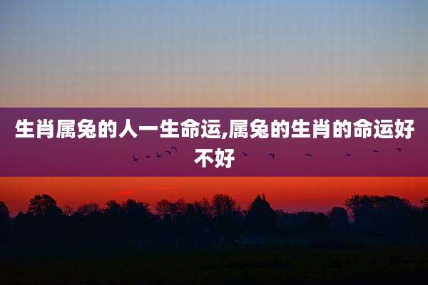 生肖属兔的人一生命运,属兔的生肖的命运好不好