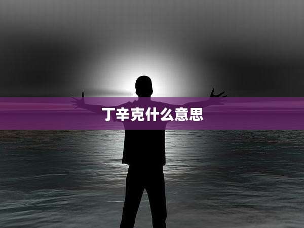 丁辛克什么意思