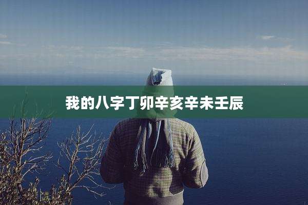 我的八字丁卯辛亥辛未壬辰