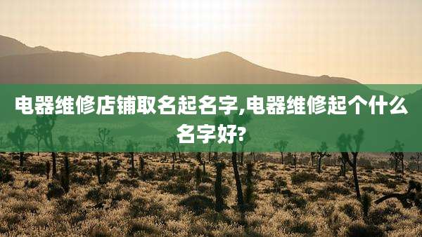 电器维修店铺取名起名字,电器维修起个什么名字好?