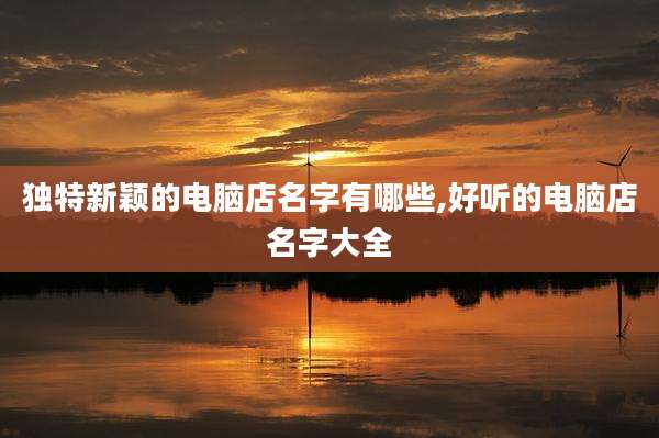 独特新颖的电脑店名字有哪些,好听的电脑店名字大全