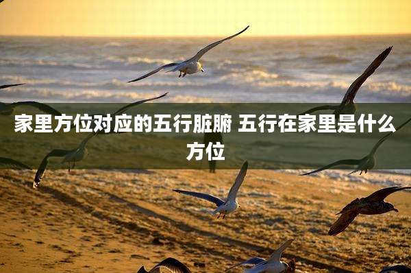 家里方位对应的五行脏腑 五行在家里是什么方位