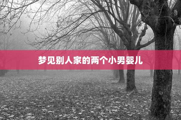 梦见别人家的两个小男婴儿