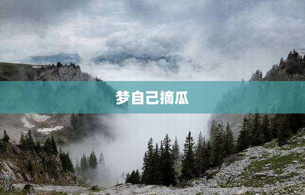 梦自己摘瓜