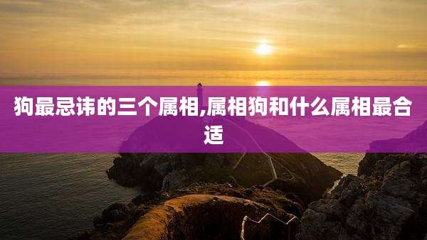 狗最忌讳的三个属相,属相狗和什么属相最合适