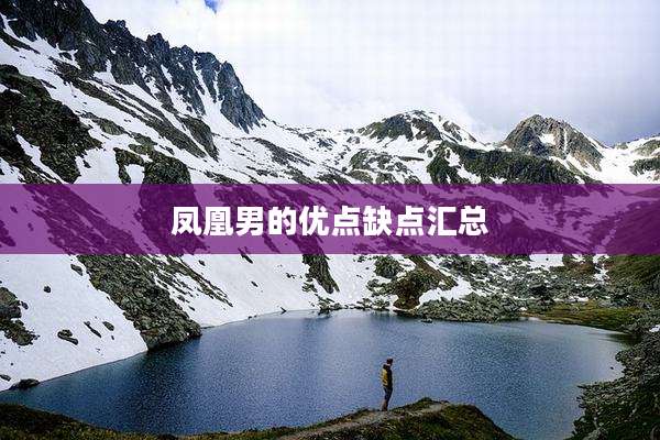 凤凰男的优点缺点汇总