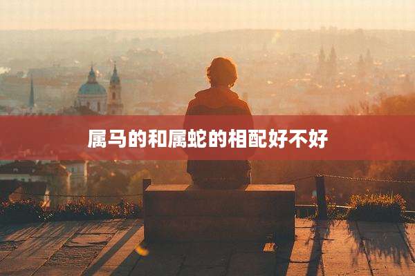 属马的和属蛇的相配好不好