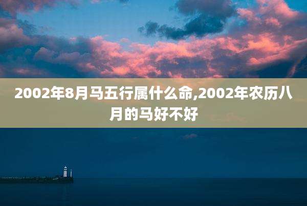 2002年8月马五行属什么命,2002年农历八月的马好不好