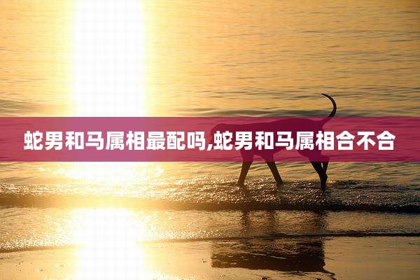 蛇男和马属相最配吗,蛇男和马属相合不合