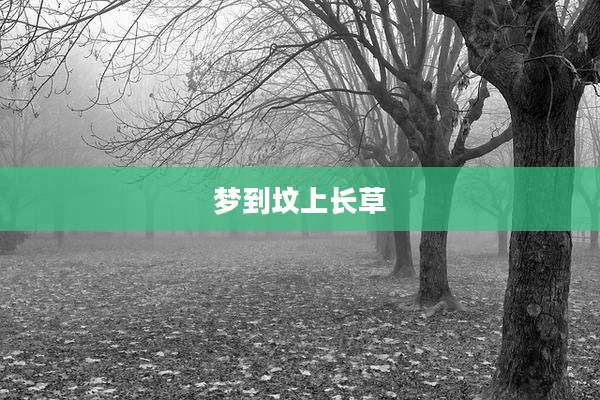 梦到坟上长草