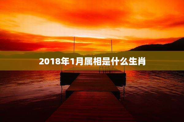 2018年1月属相是什么生肖
