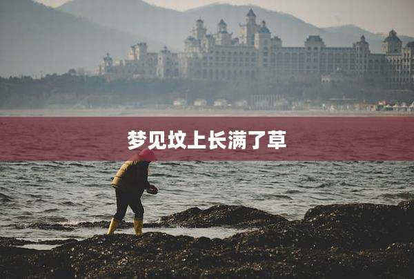 梦见坟上长满了草