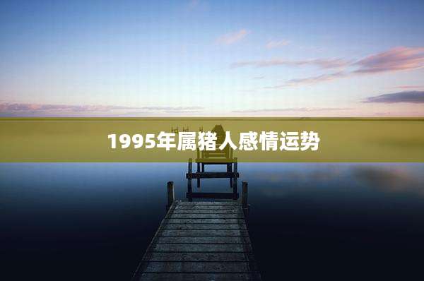 1995年属猪人感情运势
