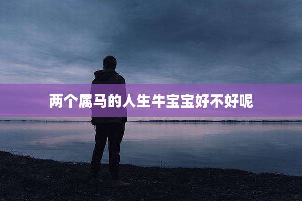 两个属马的人生牛宝宝好不好呢