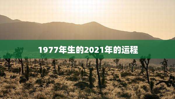 1977年生的2021年的运程