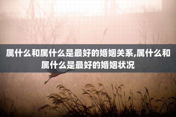 属什么和属什么是最好的婚姻关系,属什么和属什么是最好的婚姻状况
