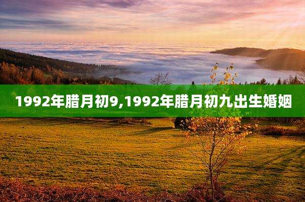 1992年腊月初9,1992年腊月初九出生婚姻