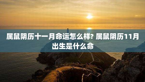 属鼠阴历十一月命运怎么样? 属鼠阴历11月出生是什么命