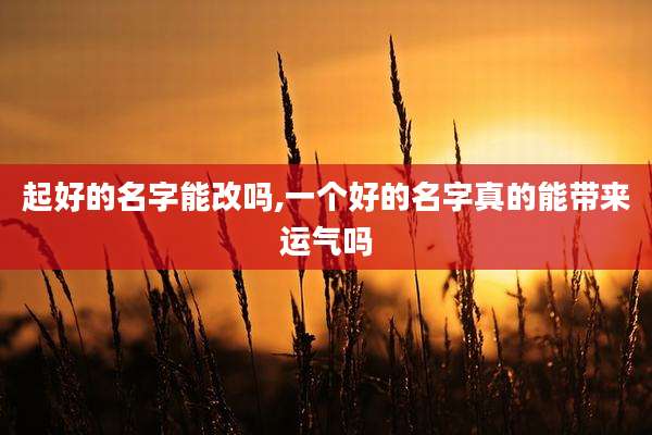 起好的名字能改吗,一个好的名字真的能带来运气吗
