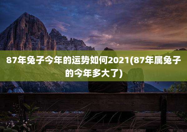 87年兔子今年的运势如何2021(87年属兔子的今年多大了)