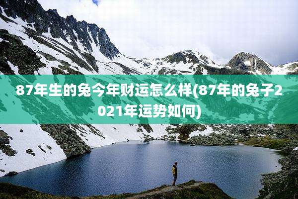 87年生的兔今年财运怎么样(87年的兔子2021年运势如何)
