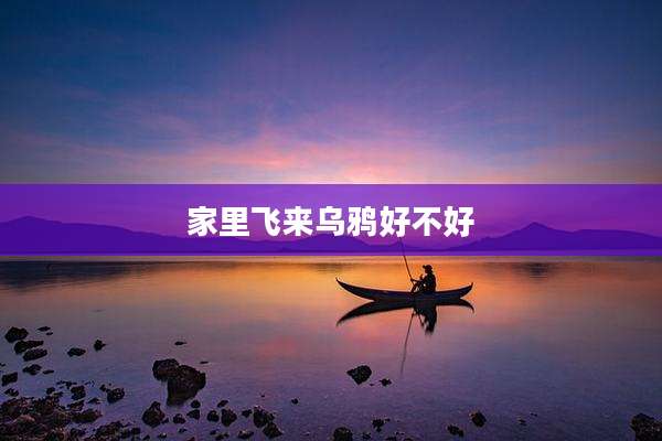 家里飞来乌鸦好不好