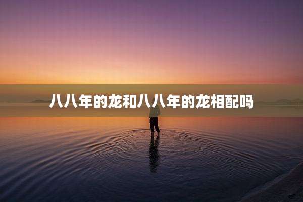 八八年的龙和八八年的龙相配吗
