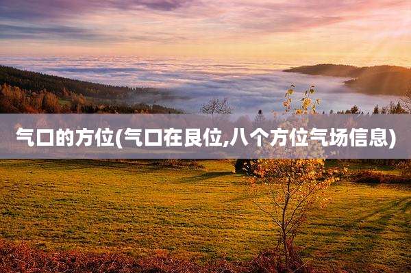 气口的方位(气口在艮位,八个方位气场信息)