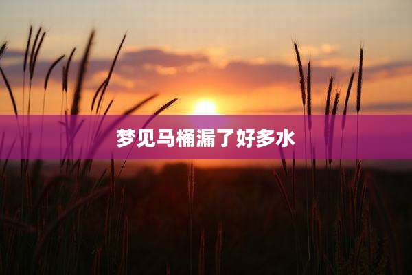梦见马桶漏了好多水