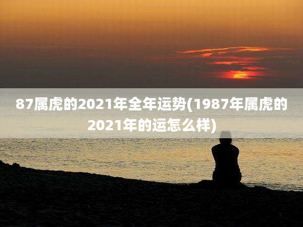 87属虎的2021年全年运势(1987年属虎的2021年的运怎么样)