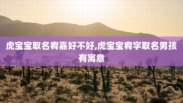 虎宝宝取名宥嘉好不好,虎宝宝宥字取名男孩有寓意