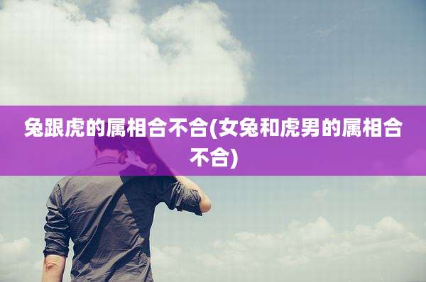 兔跟虎的属相合不合(女兔和虎男的属相合不合)