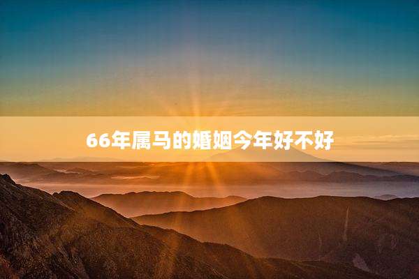 66年属马的婚姻今年好不好
