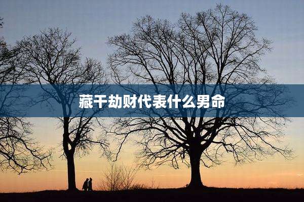 藏干劫财代表什么男命