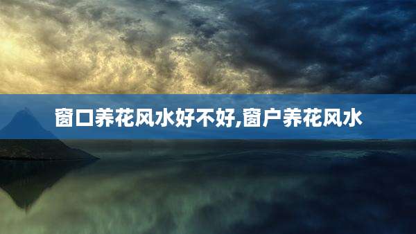 窗口养花风水好不好,窗户养花风水