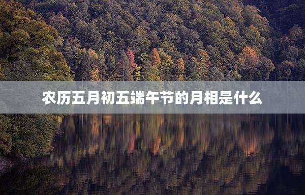 农历五月初五端午节的月相是什么