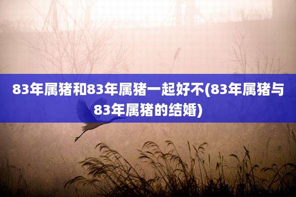 83年属猪和83年属猪一起好不(83年属猪与83年属猪的结婚)