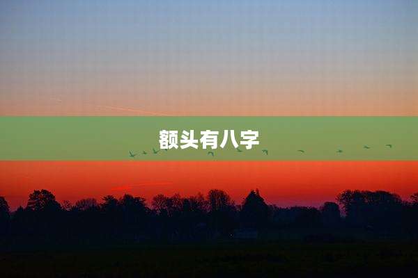 额头有八字