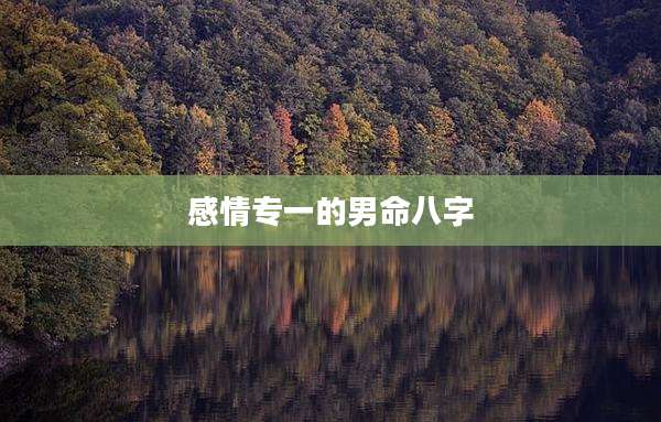感情专一的男命八字