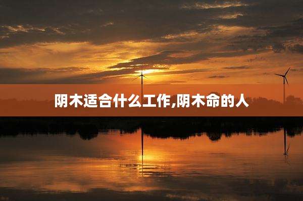 阴木适合什么工作,阴木命的人