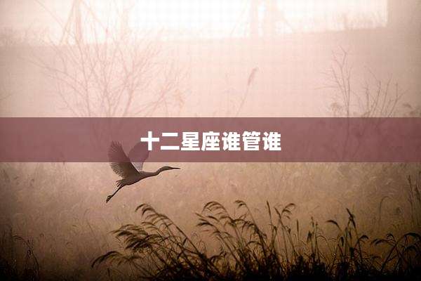 十二星座谁管谁