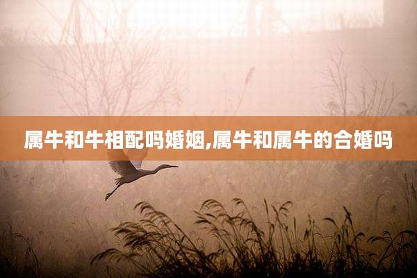 属牛和牛相配吗婚姻,属牛和属牛的合婚吗